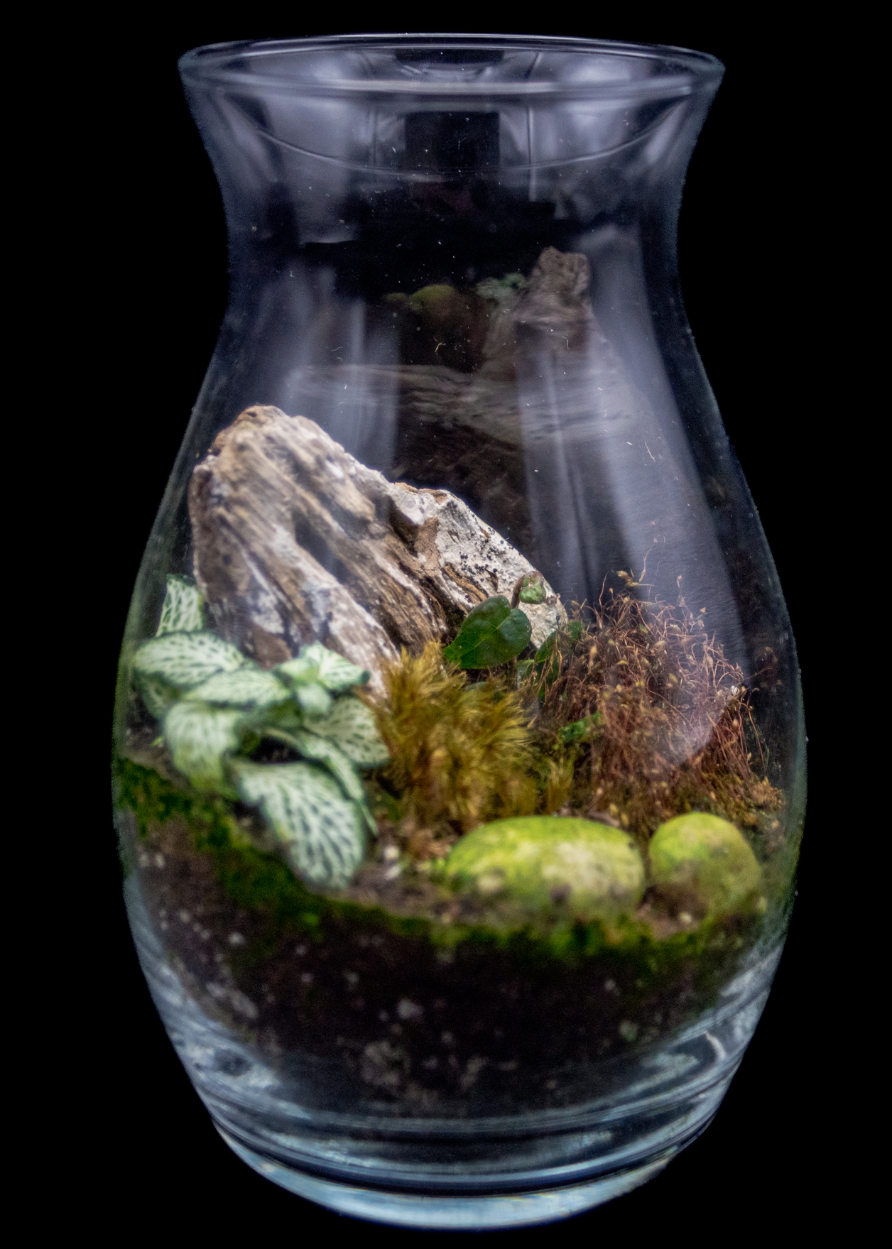 Driftwood and Moss product image 3