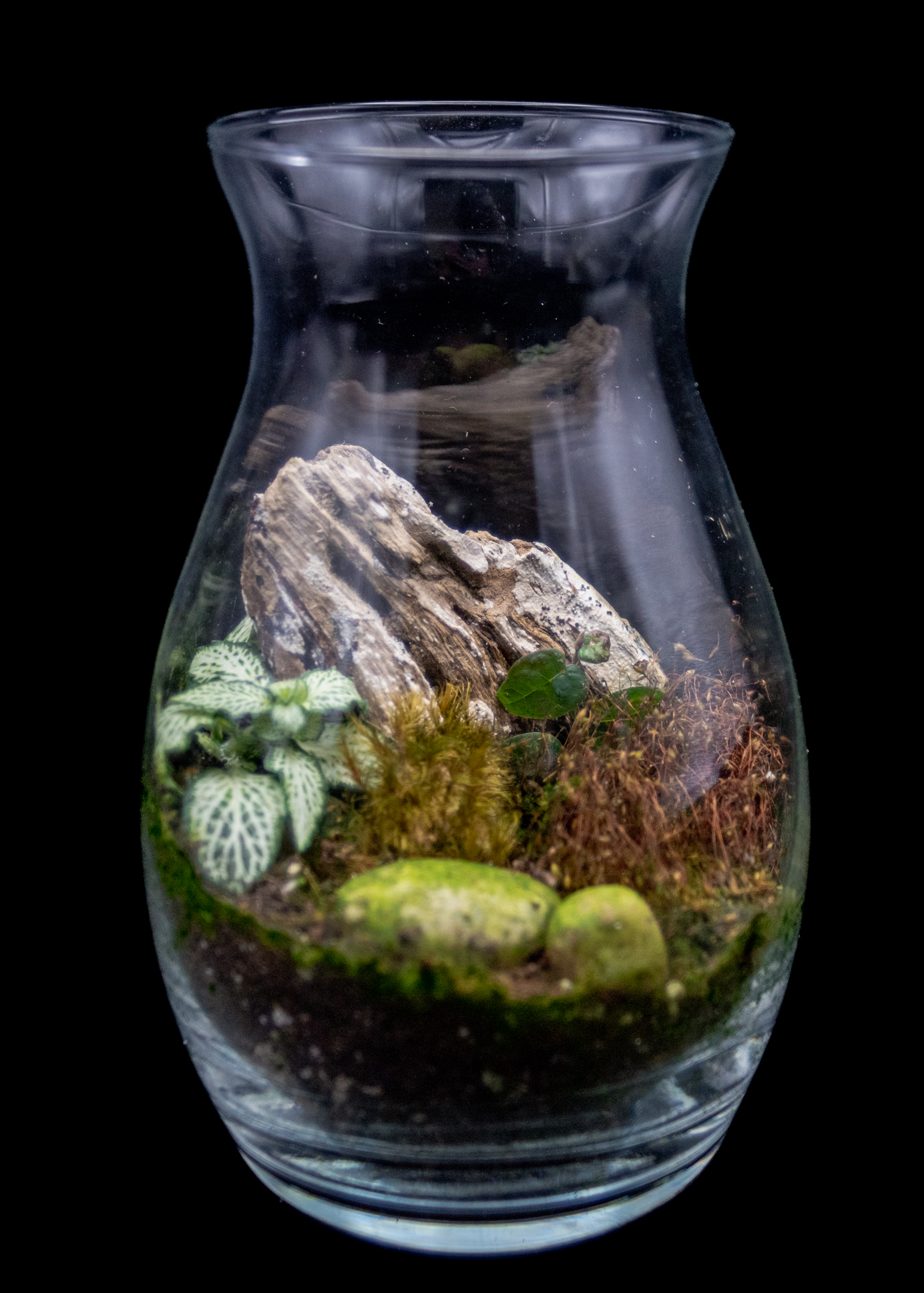 Driftwood and Moss product image 2