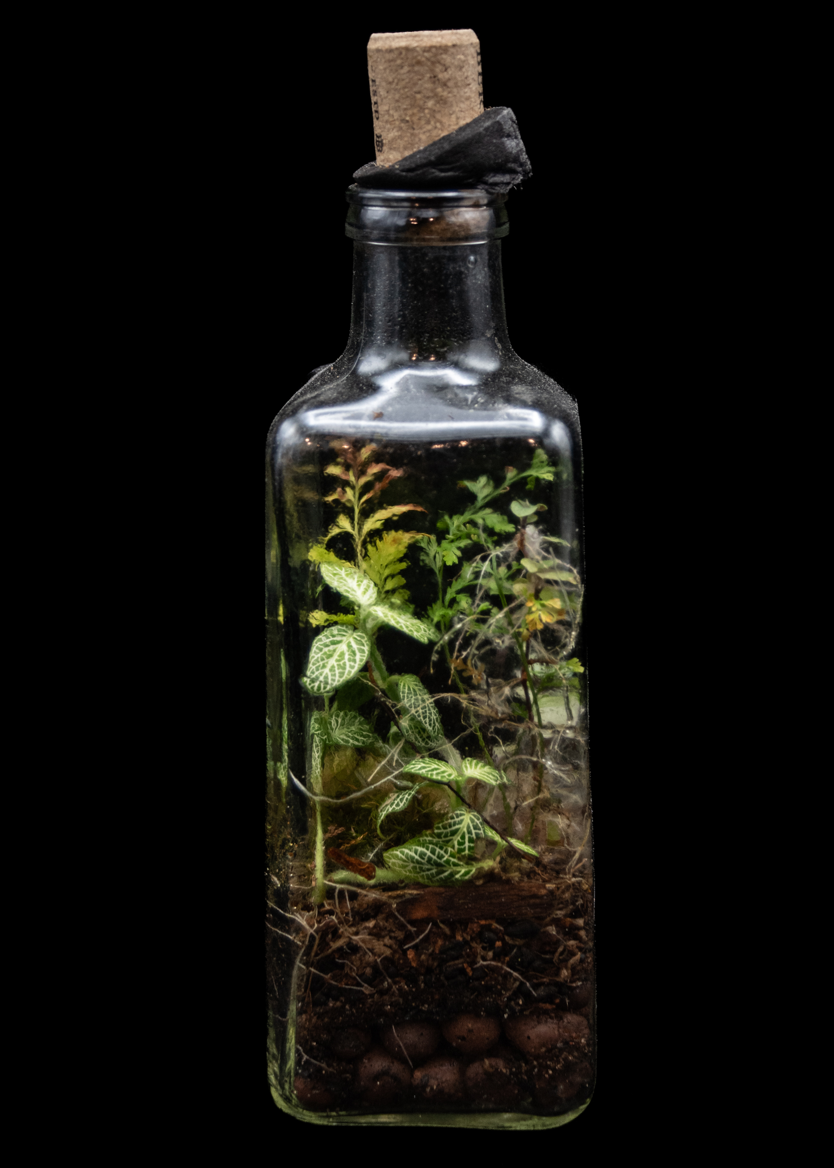 Bottled Grove